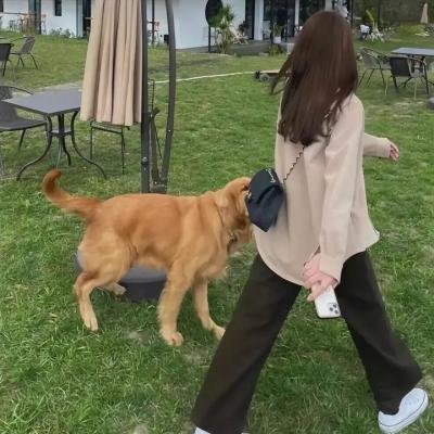 牧童与贵妇 海报